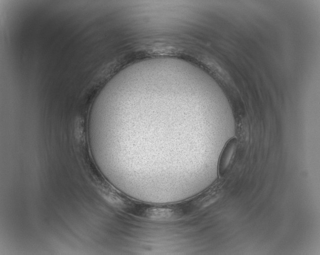 X0000073950361200609111656