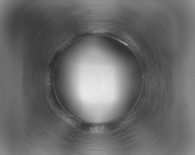 X0000073950362200609111656