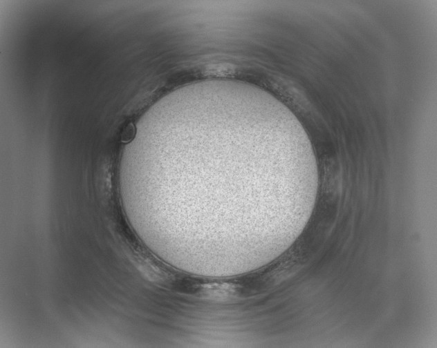 X0000073950363200609111656