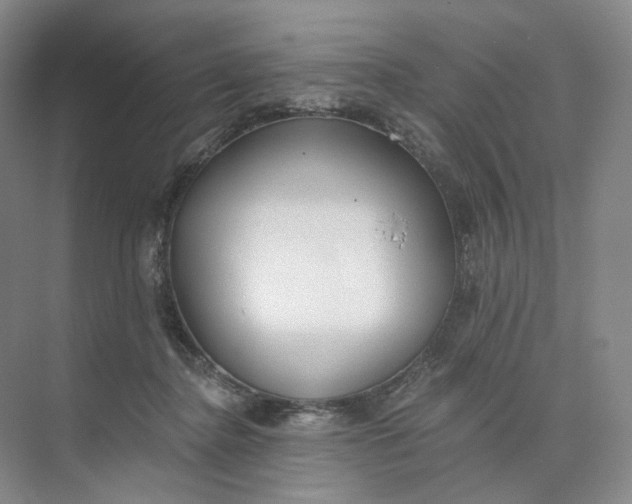 X0000073950364200609111656