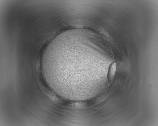 X0000073950365200609111656