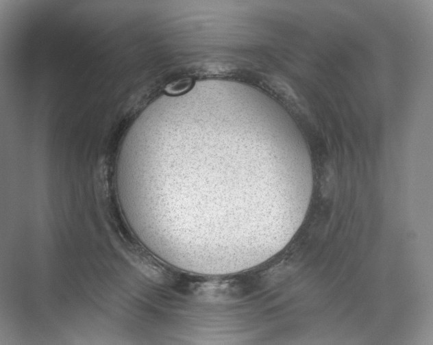 X0000073950366200609111656