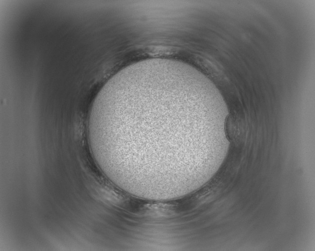 X0000073950367200609111656