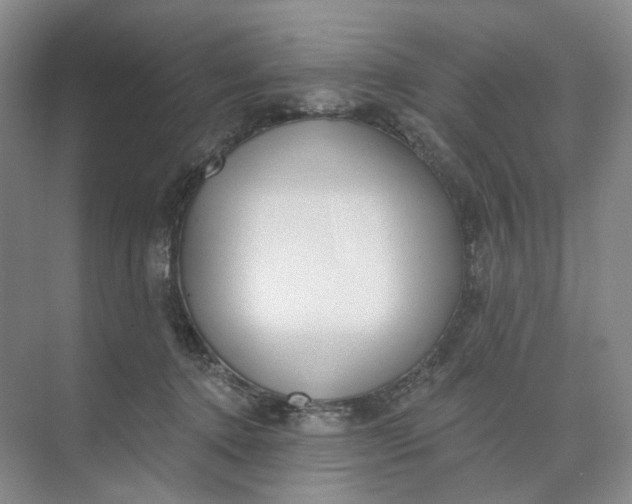 X0000073950368200609111656