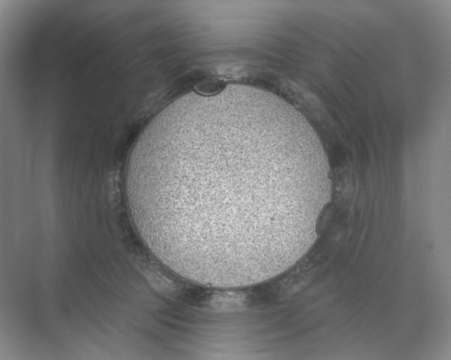 X0000073950369200609111656