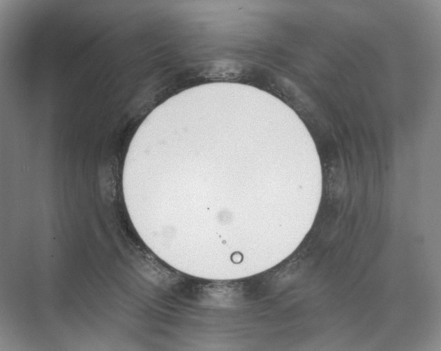 X0000073950370200609111656