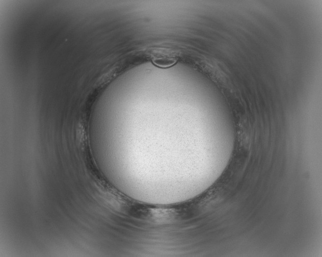 X0000073950371200609111656