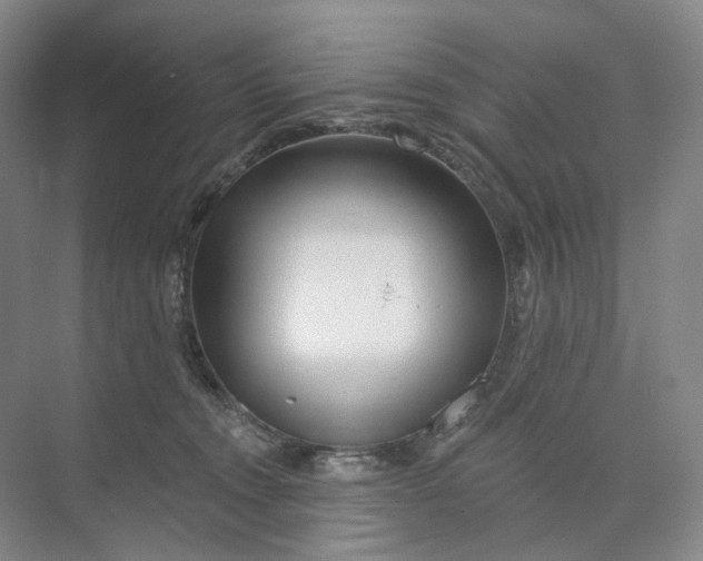 X0000073950372200609111656