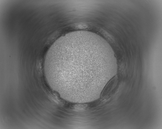 X0000073950373200609111656