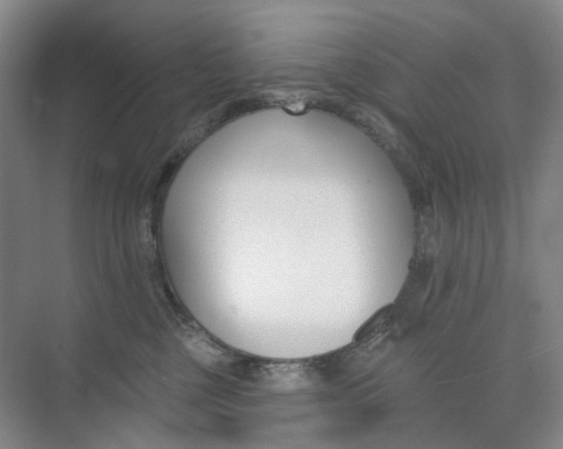 X0000073950377200609111656