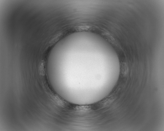 X0000073950378200609111656