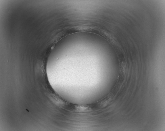 X0000073950380200609111656