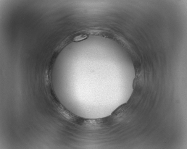 X0000073950381200609111656