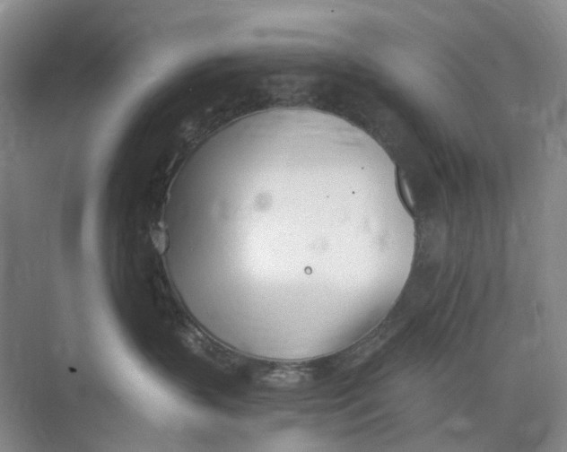 X0000073950383200609111656