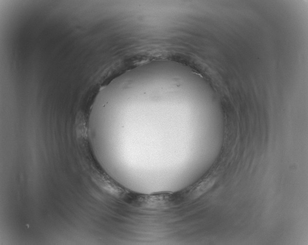 X0000073950384200609111656