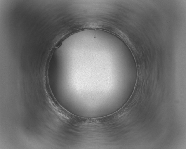 X0000073950386200609111656