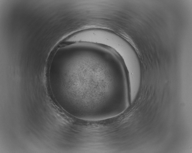 X0000073950387200609111656