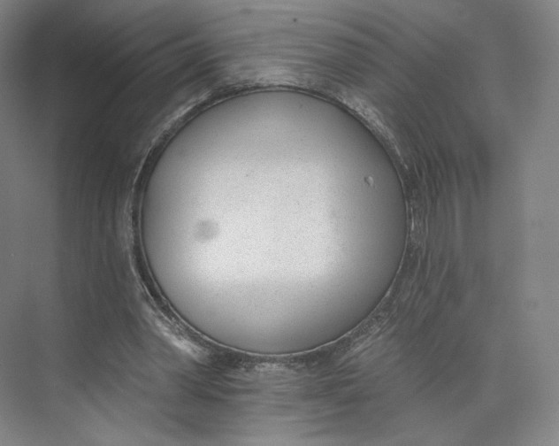 X0000073950390200609111655