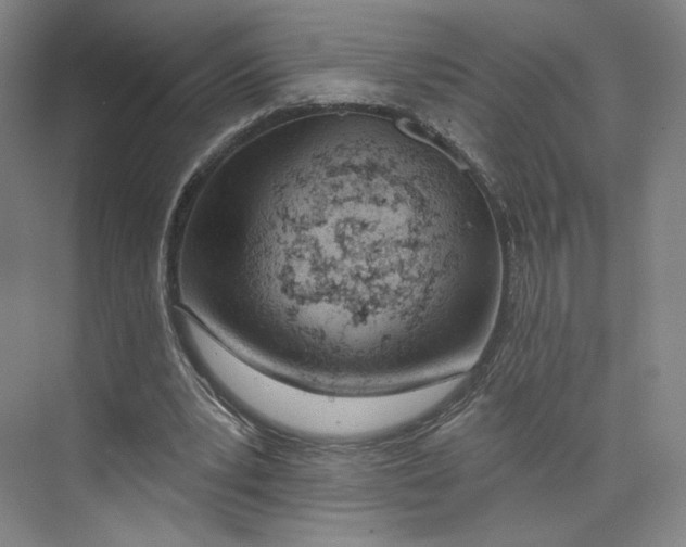 X0000073950391200609111655