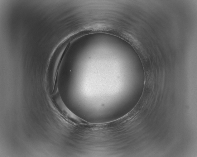 X0000073950392200609111655