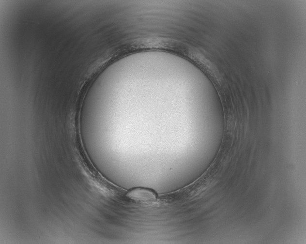 X0000073950394200609111655