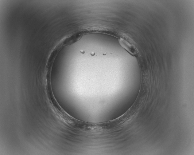 X0000073950395200609111655