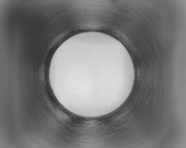 X0000073950396200609111655