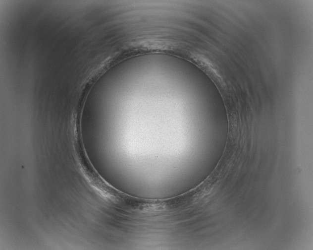 X0000073950398200609111655