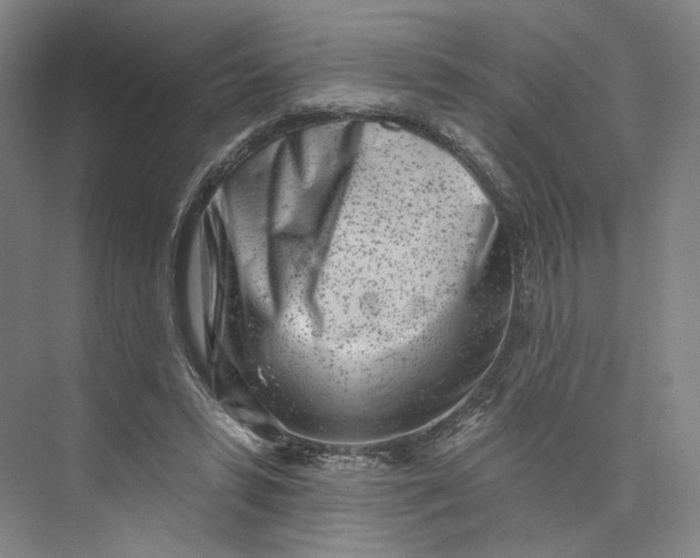 X0000073950399200609111655