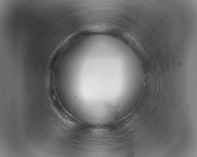 X0000073950400200609111655