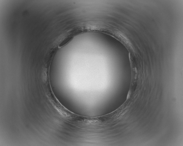 X0000073950401200609111655