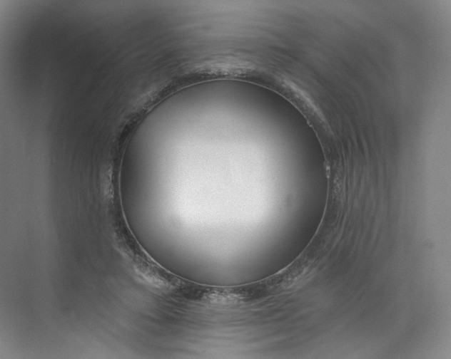 X0000073950403200609111655