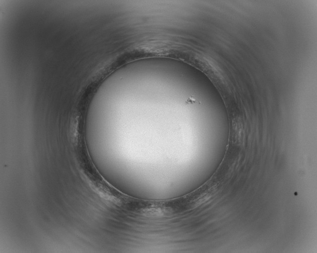 X0000073950404200609111655