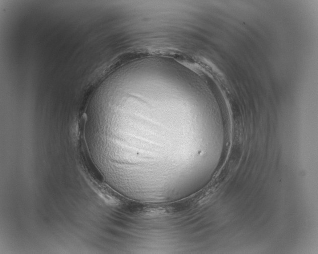 X0000073950405200609111655