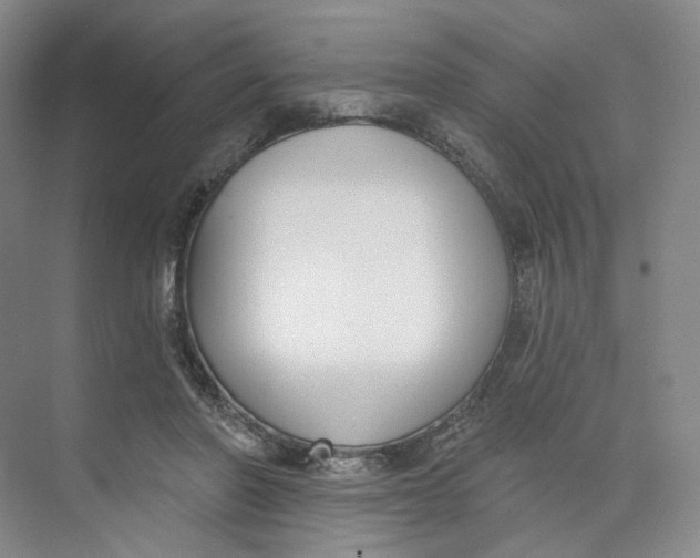 X0000073950406200609111655