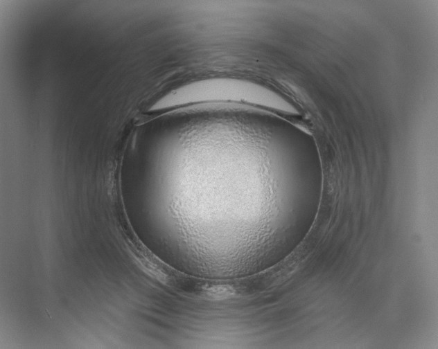 X0000073950409200609111655