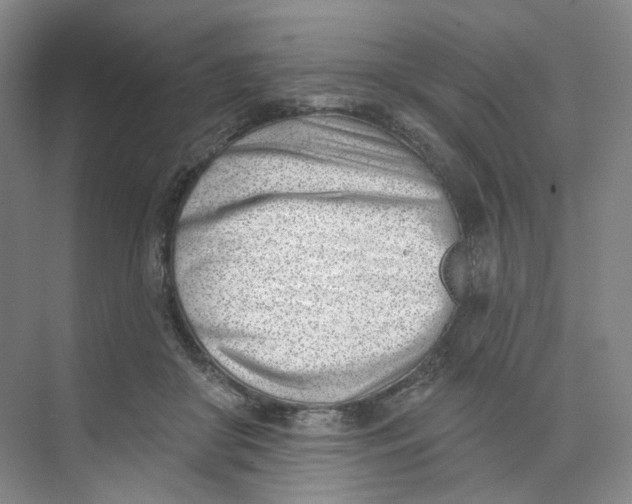 X0000073950410200609111655