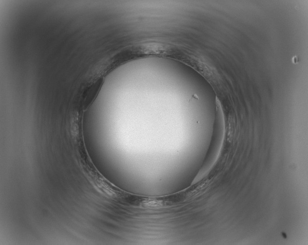 X0000073950413200609111655