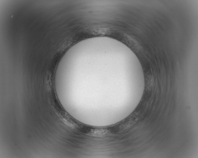 X0000073950414200609111655