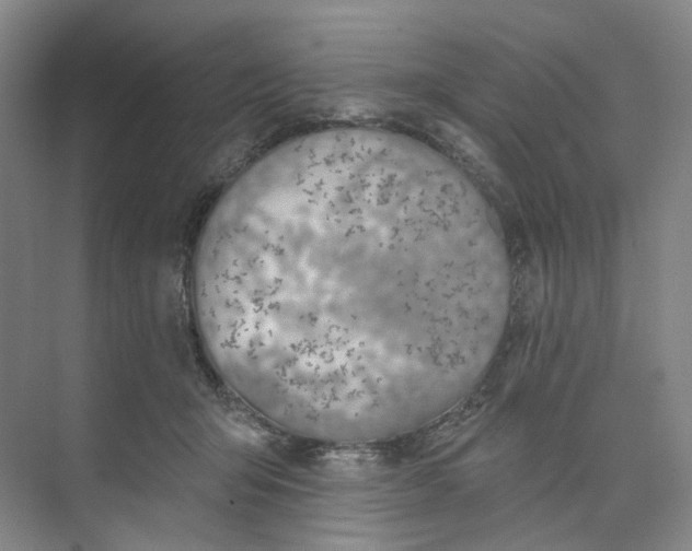 X0000073950415200609111655