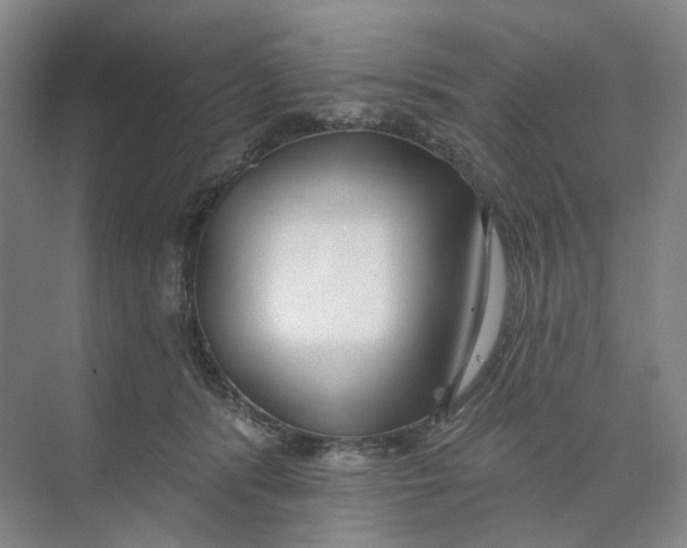 X0000073950416200609111655