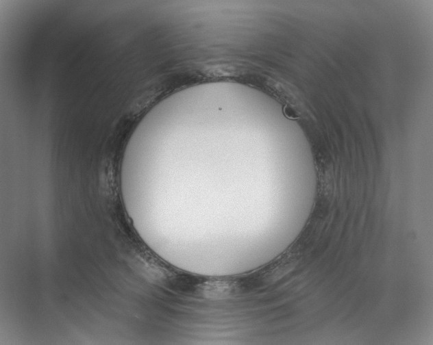 X0000073950418200609111655