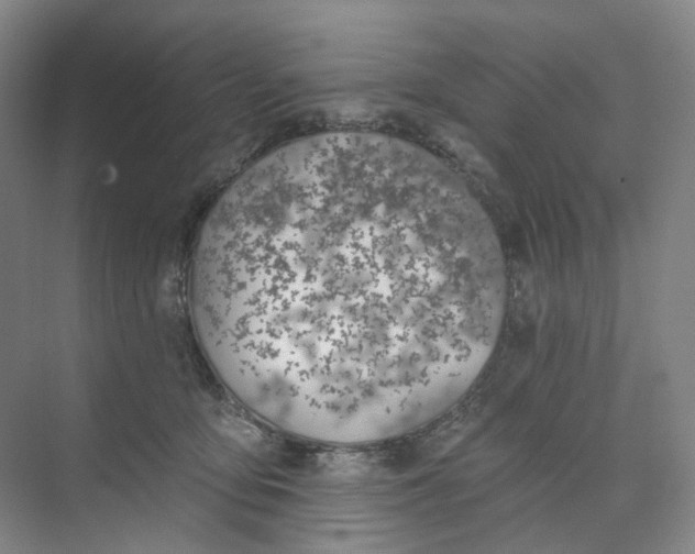 X0000073950419200609111655