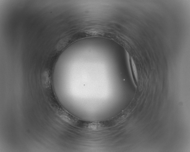 X0000073950420200609111655