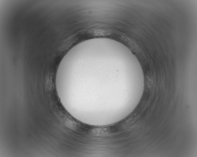 X0000073950422200609111655