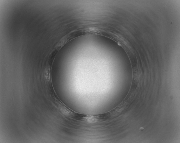 X0000073950425200609111655