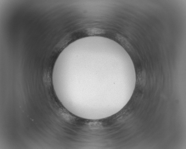 X0000073950426200609111655