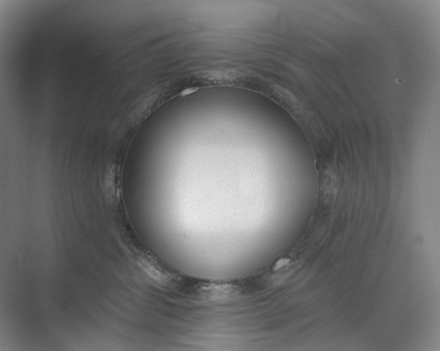 X0000073950428200609111655