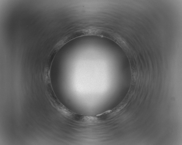 X0000073950429200609111655