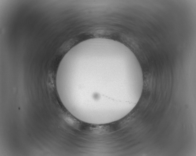 X0000073950430200609111655